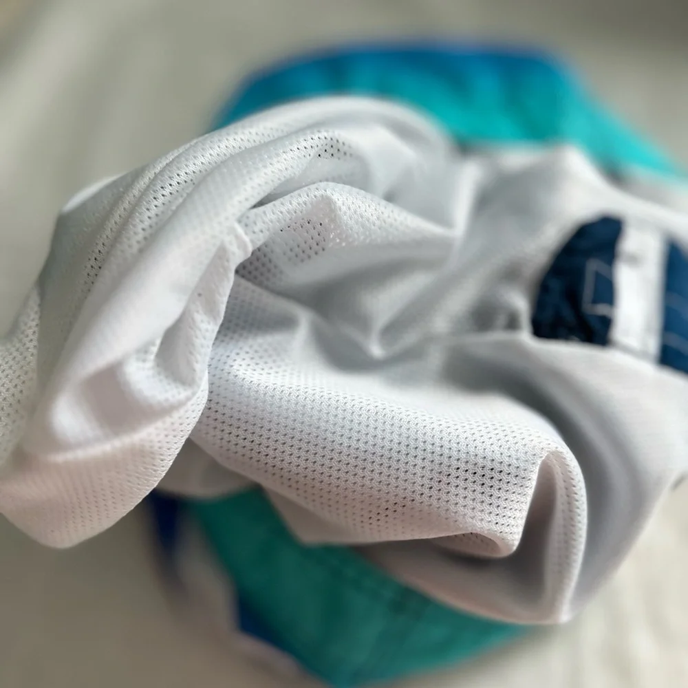 Hollister Teal and Navy Striped Board Shorts
